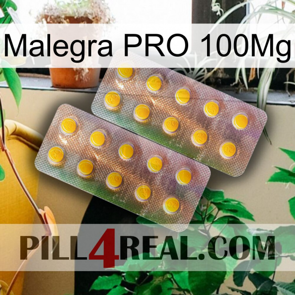 Malegra PRO 100Mg new10.jpg